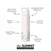 Summit Water Bottle with Straw Lid